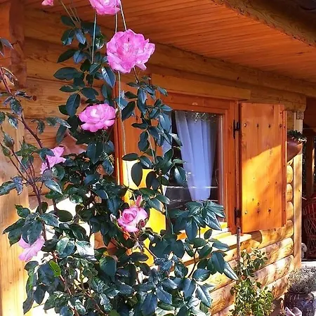 Vila Helena Holiday home Goc