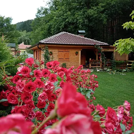 Holiday home Vila Helena