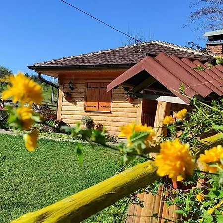 Vila Helena Holiday home