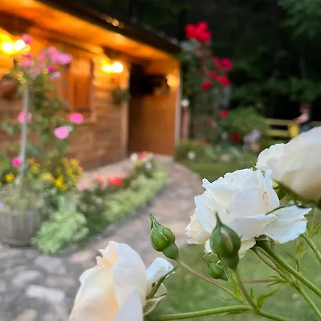 Holiday home Vila Helena Goc