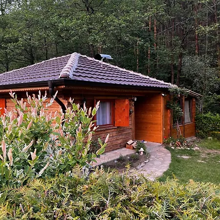 Helena Case de vacanță
